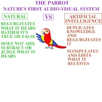 the nature of the parrot's first audio system