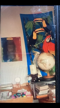 a picture of a toucan on a desk